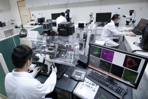 工厂学校实验室工程供气系统的综合设计方案与计算机系统服务集成